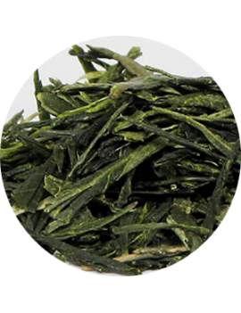 Herbata zielona Green Sencha